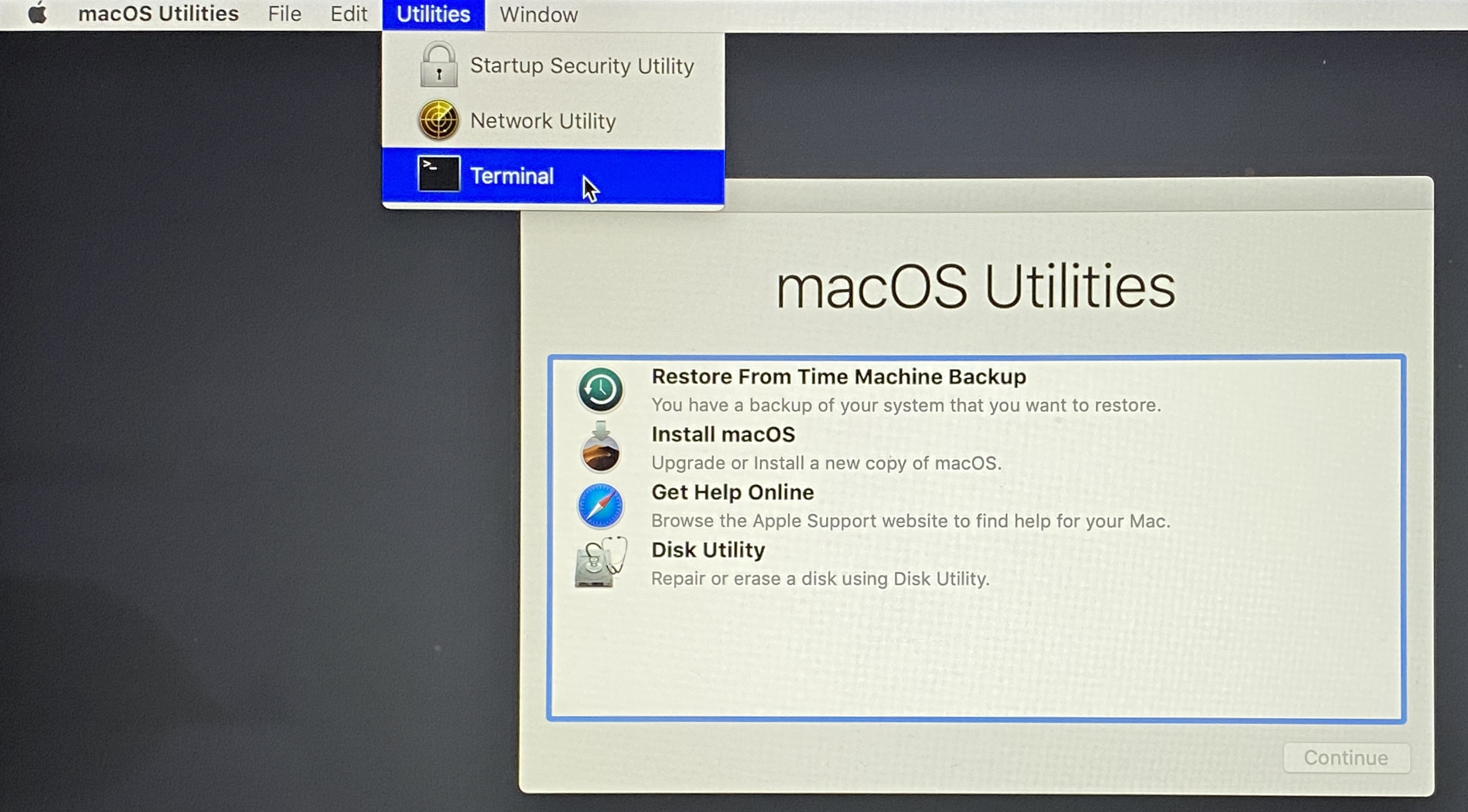 macos-terminal